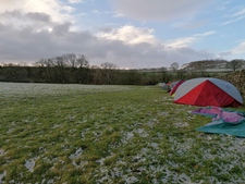 Thumbnail of photo from this article